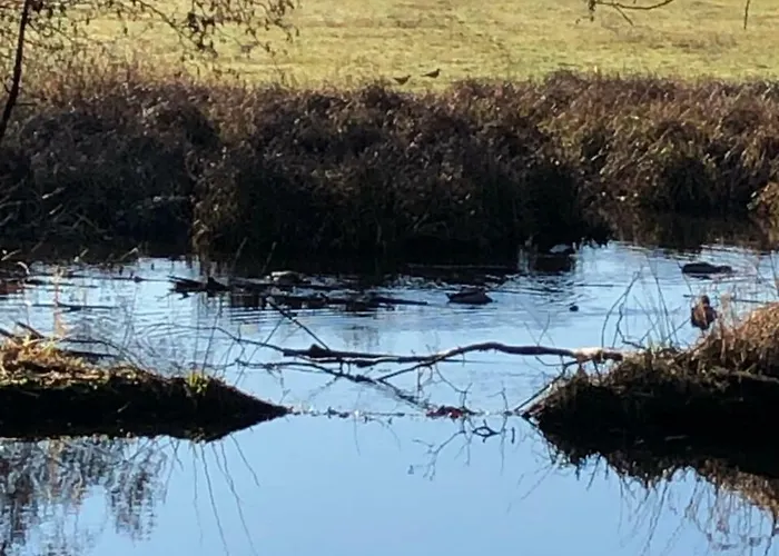 Otel Am Doktorplatz Rheda-Wiedenbrück